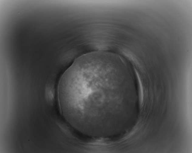 X0000088390072200705291417