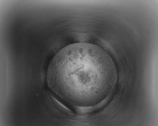 X0000088390073200705291417