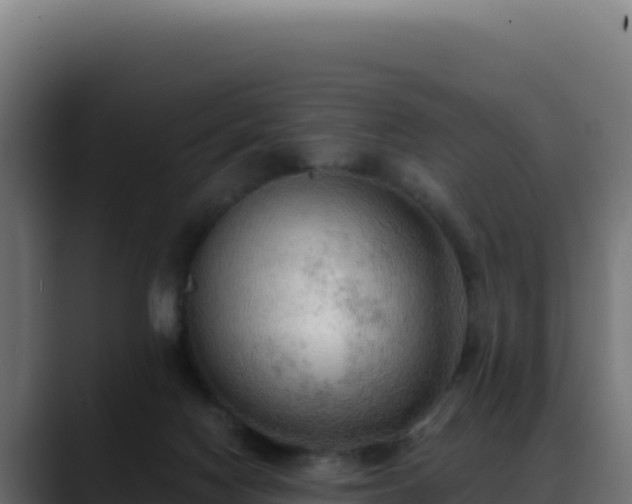 X0000088390074200705291417