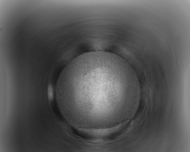 X0000088390075200705291417