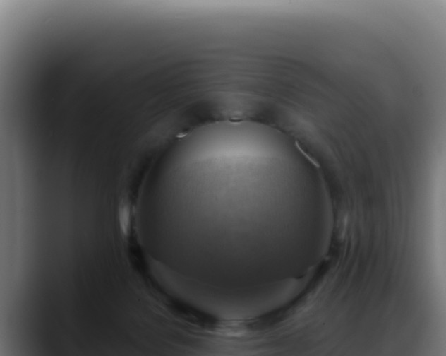 X0000088390076200705291417