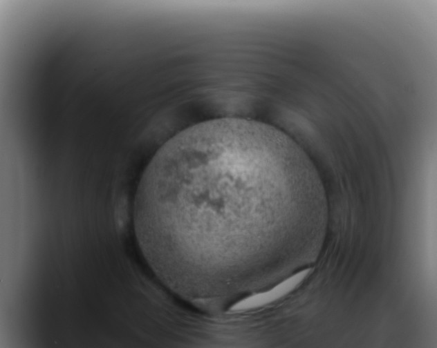 X0000088390077200705291417