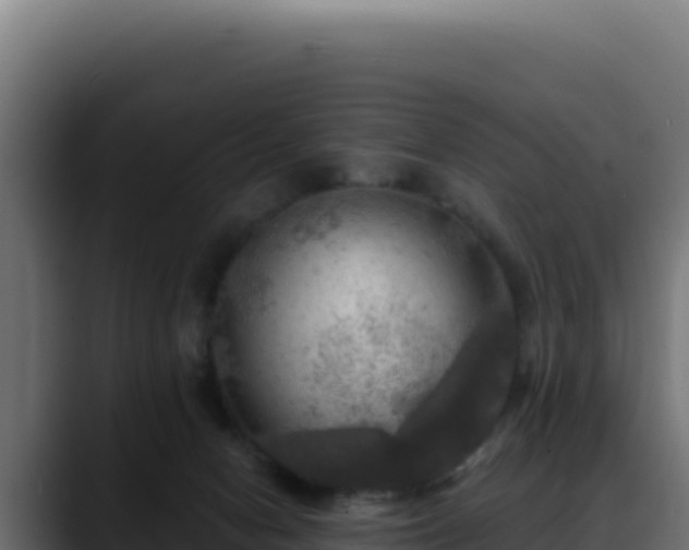 X0000088390078200705291417