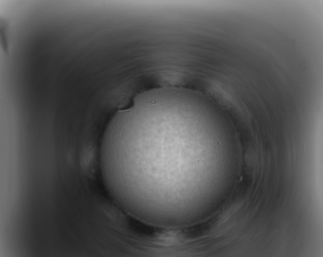 X0000088390079200705291417