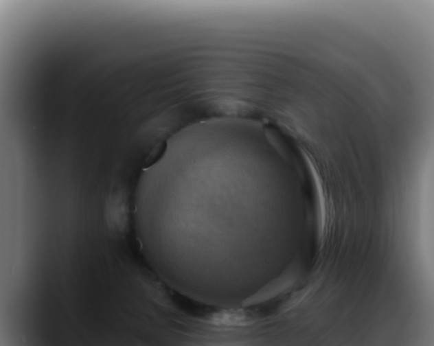 X0000088390080200705291417