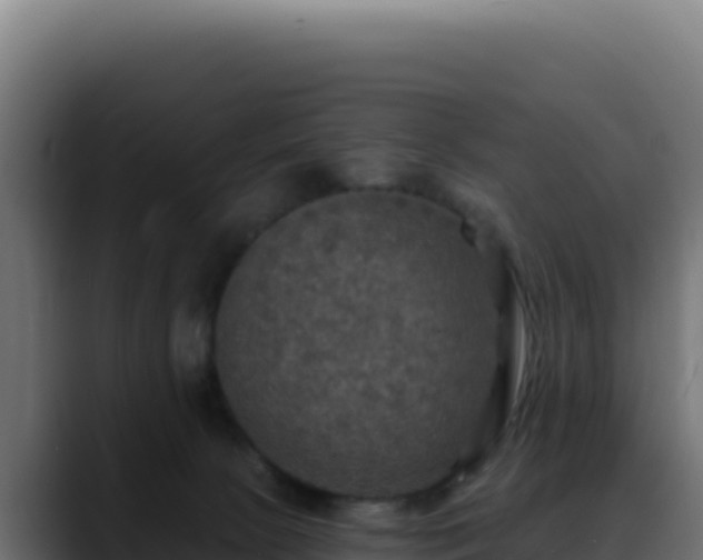 X0000088390081200705291417