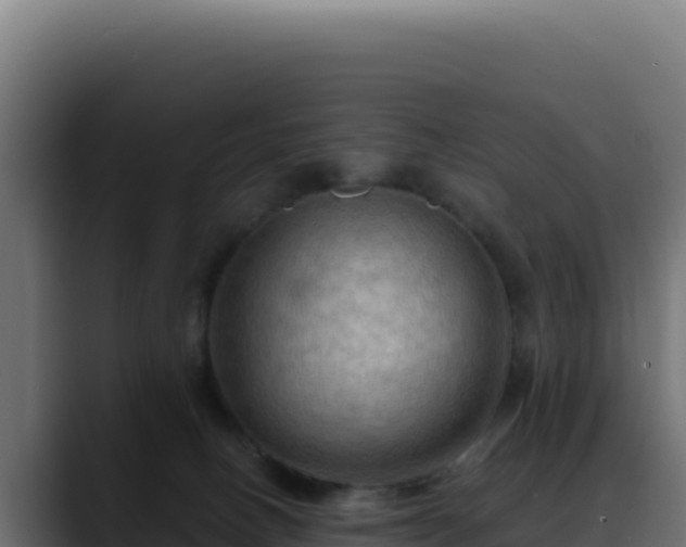 X0000088390082200705291417