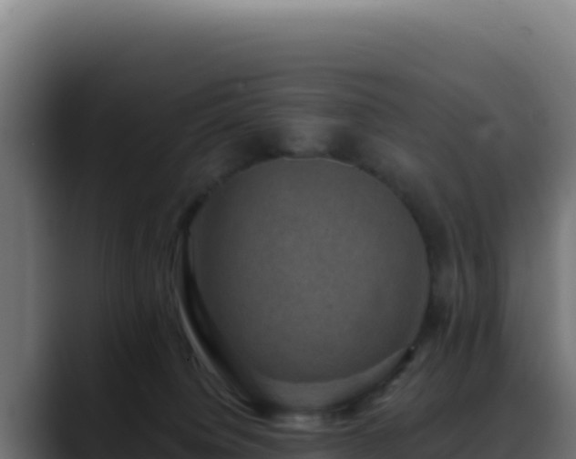 X0000088390084200705291417