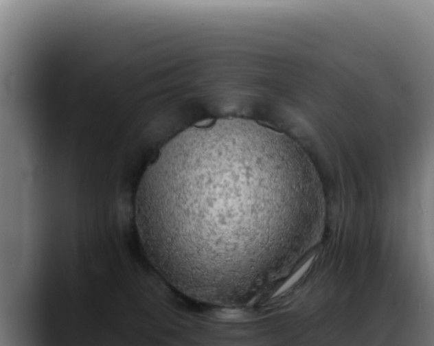 X0000088390085200705291417