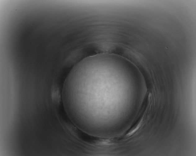 X0000088390086200705291417