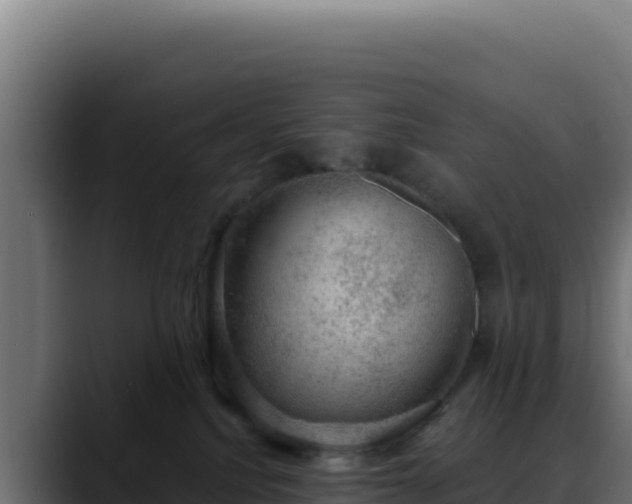 X0000088390088200705291417