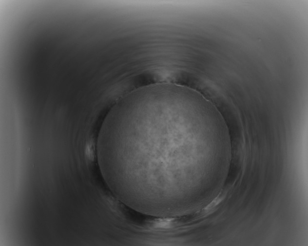 X0000088390090200705291417