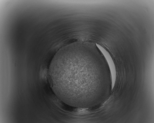 X0000088390093200705291417