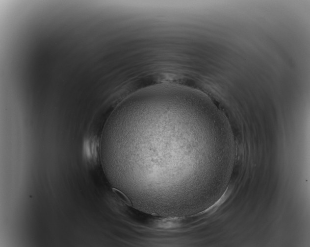 X0000088390094200705291417