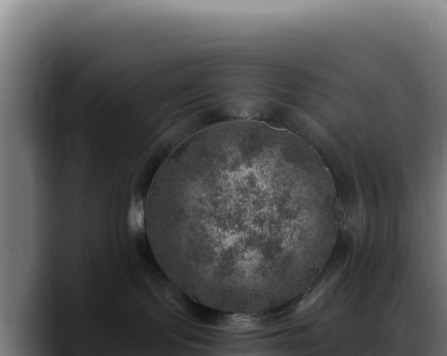 X0000088390095200705291417