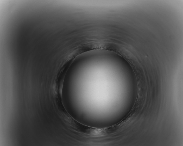 X0000088390096200705291417