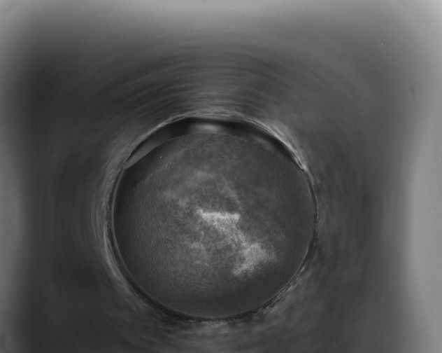 X0000088390097200705291416