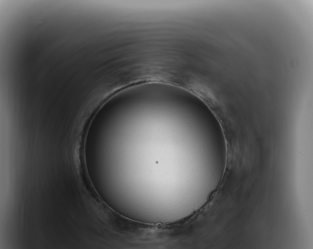 X0000088390098200705291416