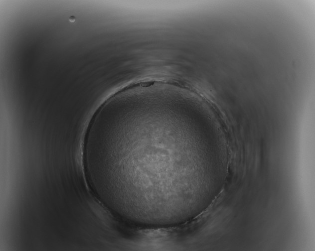 X0000088390100200705291416