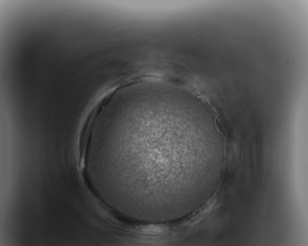 X0000088390102200705291416