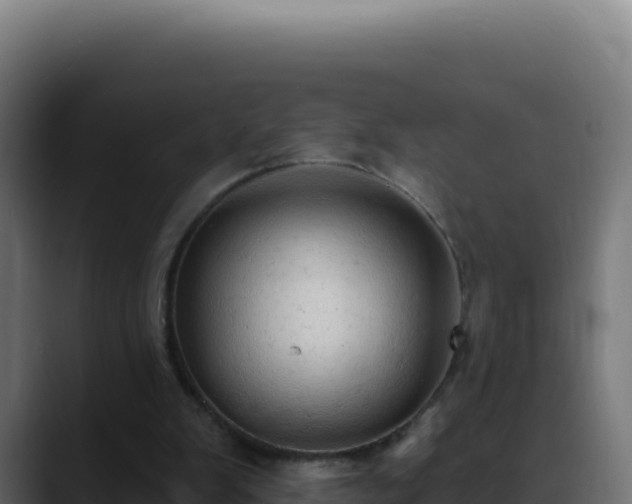 X0000088390103200705291416