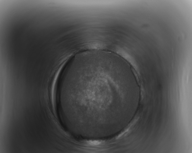 X0000088390105200705291416