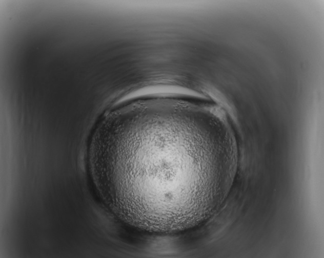 X0000088390107200705291416