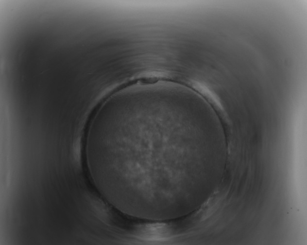 X0000088390108200705291416