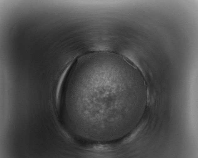 X0000088390109200705291416