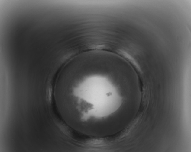 X0000088390110200705291416