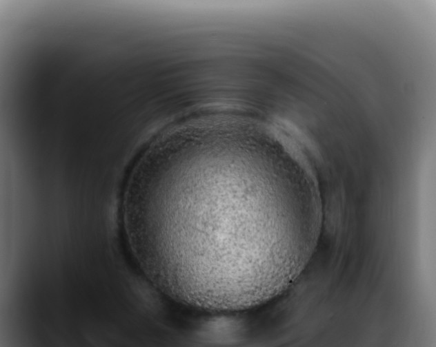 X0000088390111200705291416