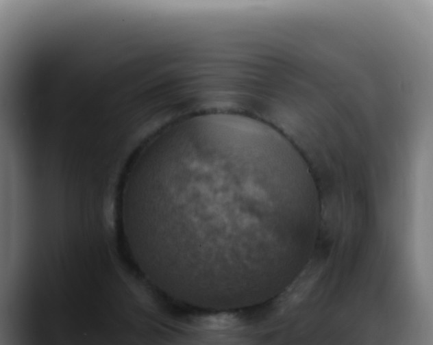 X0000088390112200705291416