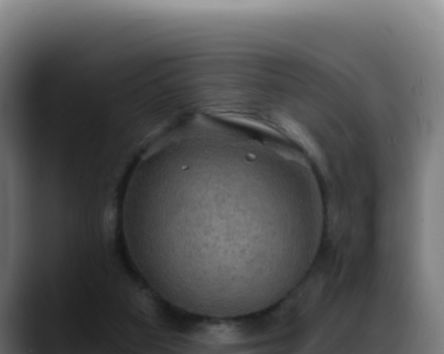 X0000088390113200705291416