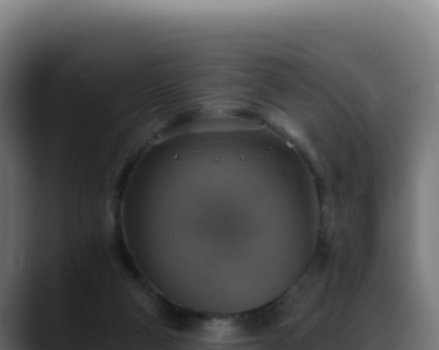 X0000088390114200705291416