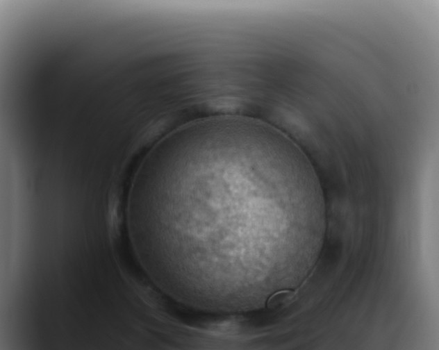 X0000088390116200705291416