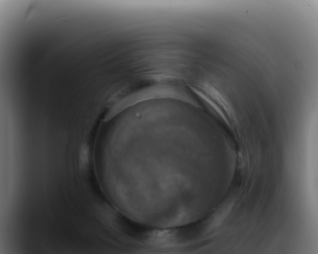 X0000088390117200705291416