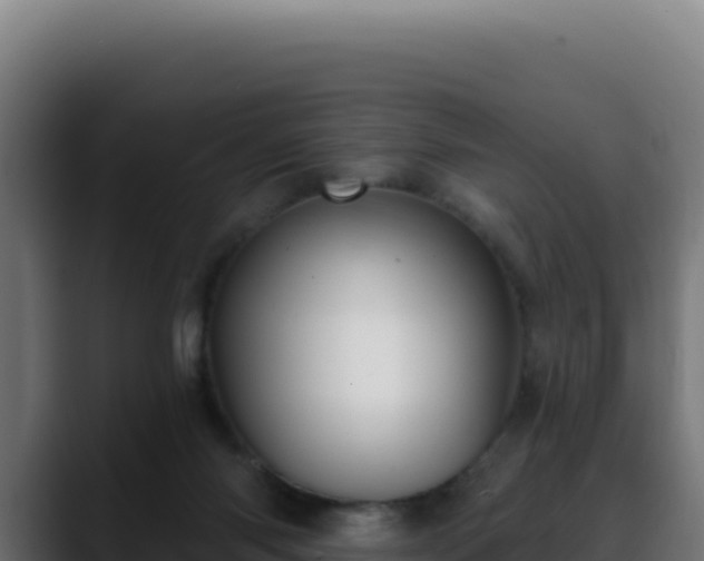 X0000088390118200705291416