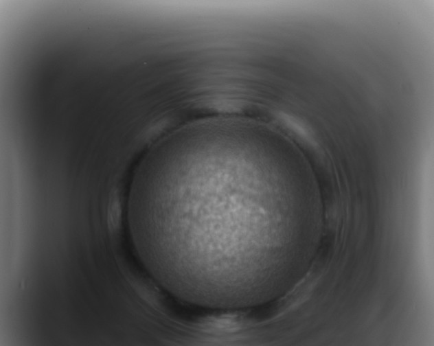 X0000088390120200705291416