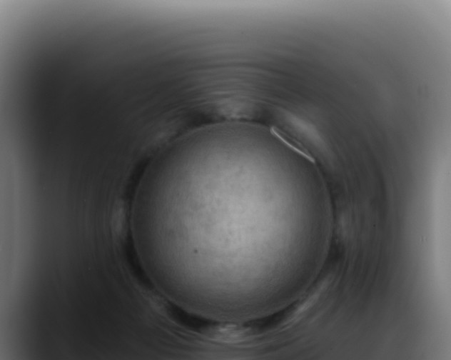 X0000088390121200705291416