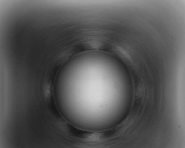 X0000088390122200705291416