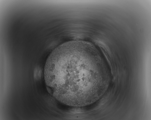 X0000088390123200705291416