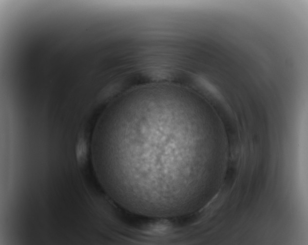 X0000088390124200705291416