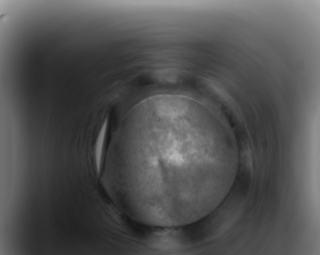 X0000088390125200705291416