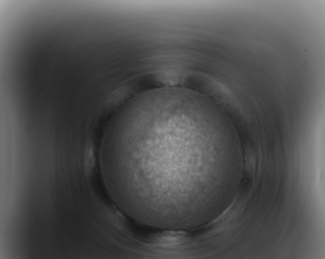 X0000088390128200705291416