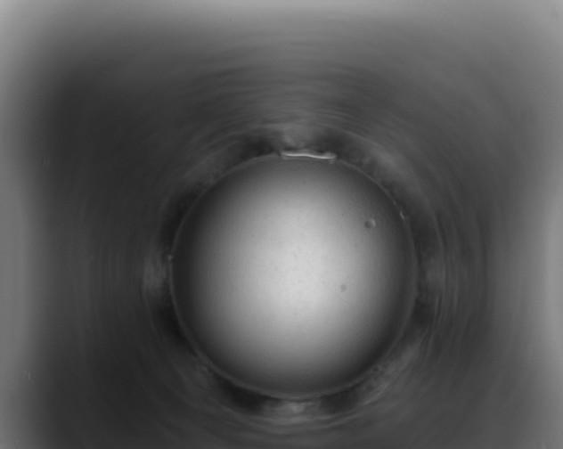 X0000088390129200705291416