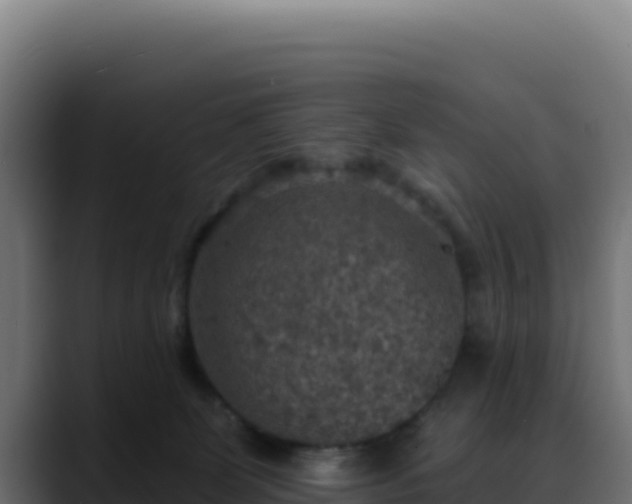 X0000088390131200705291416