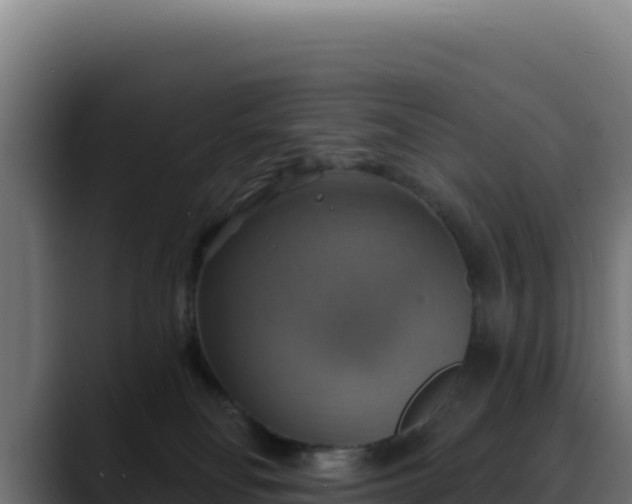 X0000088390134200705291416