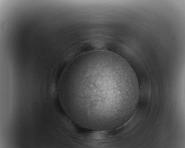 X0000088390136200705291416