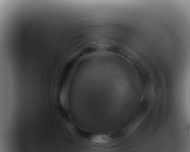 X0000088390137200705291416