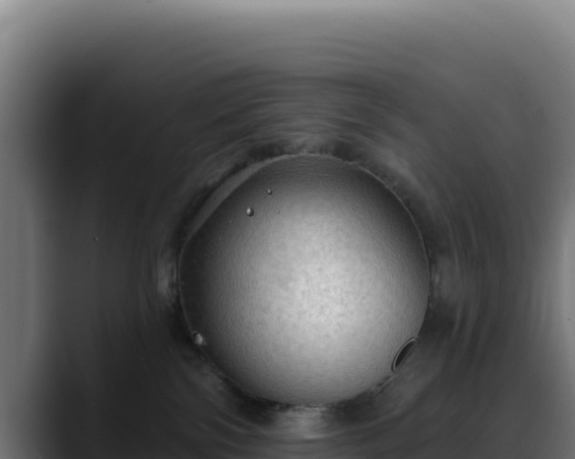 X0000088390138200705291416